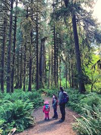 Rear view of people walking in forest