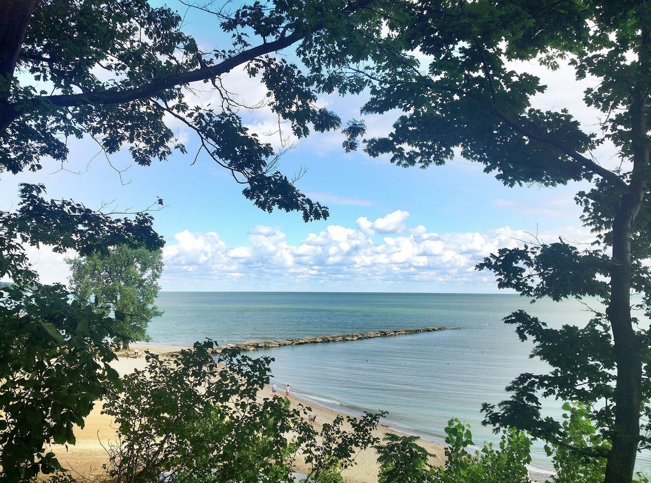 sea, horizon over water, water, tree, tranquil scene, sky, tranquility, scenics, beauty in nature, branch, nature, beach, idyllic, shore, cloud, growth, cloud - sky, outdoors, day, no people