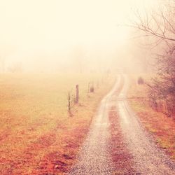 Road passing through forest