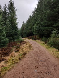 Road amidst trees in forest against sky