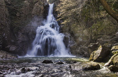 Scenic view of waterfall in forest