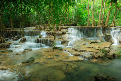 Scenic view of waterfall in forest