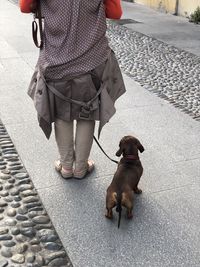 Low section of person with dog on street