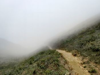 fog