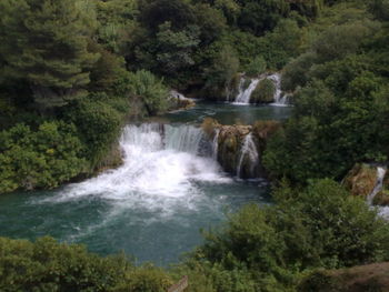 Scenic view of waterfall in forest