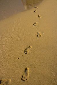 High angle view of footprints on wet sand