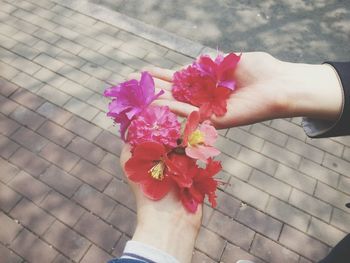 Close-up of woman holding pink flower