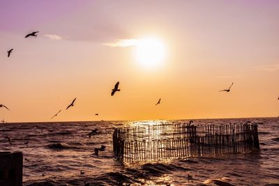 Silhouette birds flying over sea against sky during sunset