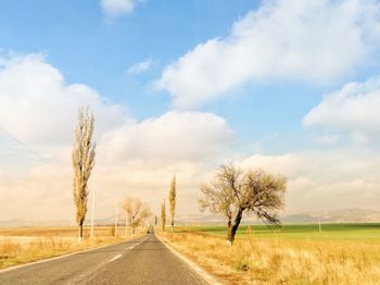 Road by trees on field against sky