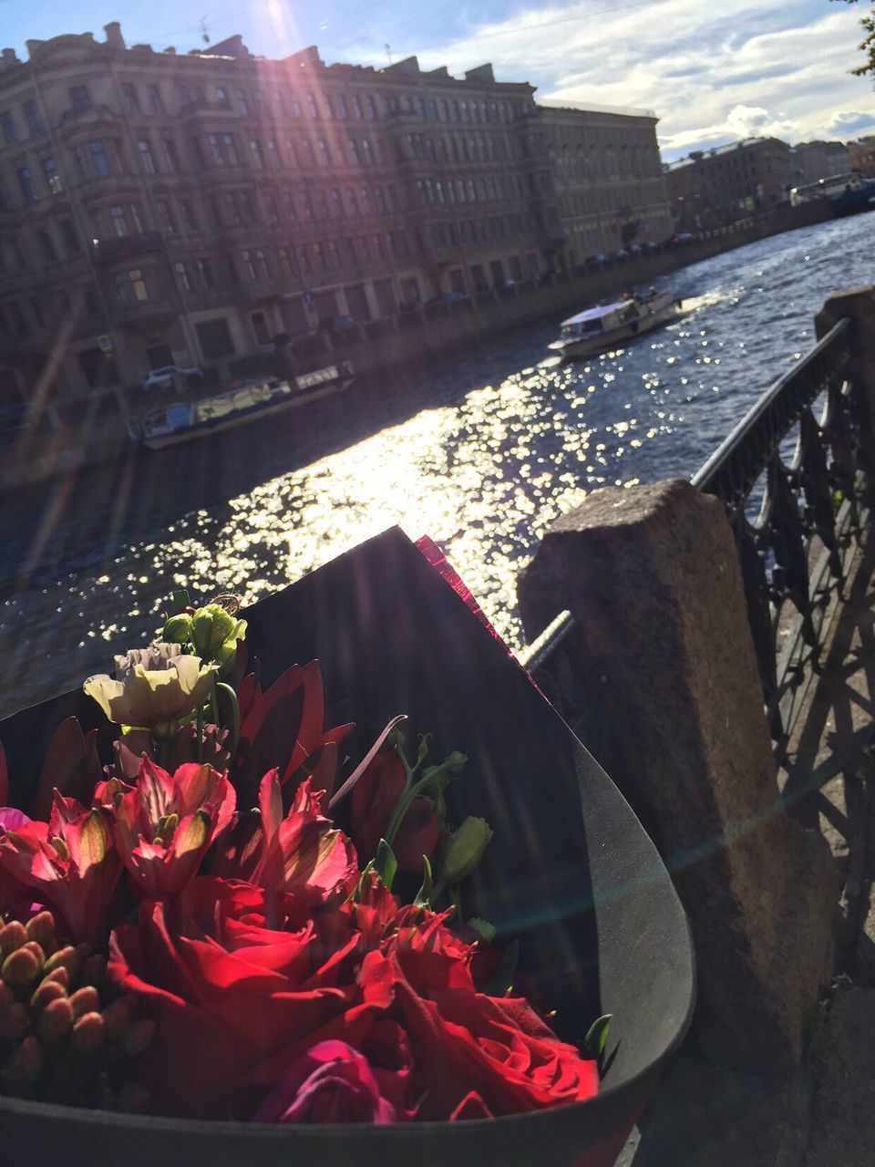 CLOSE-UP OF RED FLOWERING PLANT AGAINST CANAL