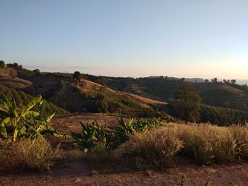 Scenic view of landscape against clear sky