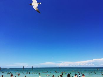 People enjoying at beach against blue sky