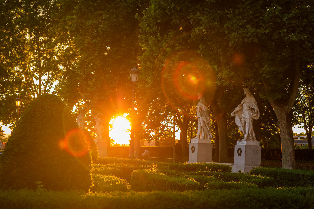 plant, tree, night, light, nature, grave, evening, religion, cemetery, belief, celebration, grass, outdoors, spirituality, no people, autumn, lighting, architecture, orange color, tombstone, sculpture, darkness