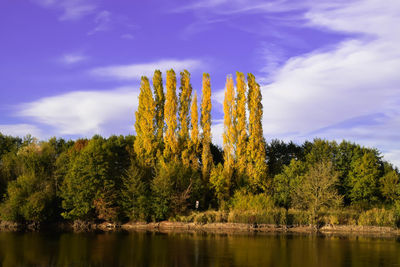 Scenic view of lake by trees against sky