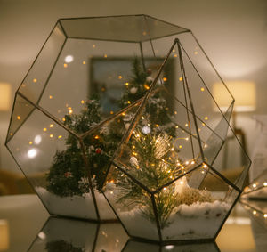 Close-up of illuminated christmas tree