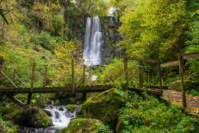 Waterfall in forest