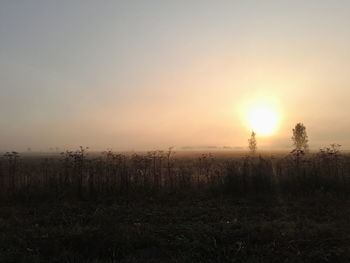 Scenic view of field against sky during sunset