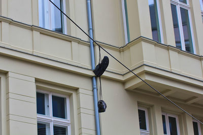 Low angle view of bird perching on building
