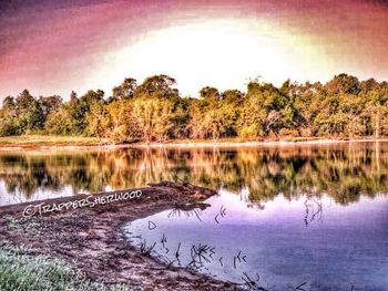 Reflection of trees in calm lake