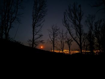 Silhouette trees against sky at night