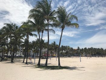 Palm trees on beach against sky