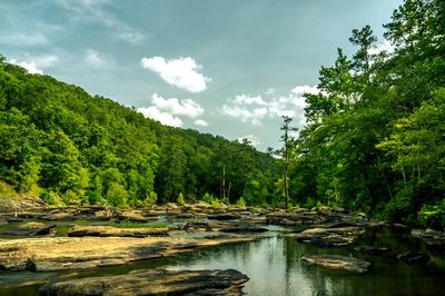 Scenic view of rocky river against sky in sweetwater creek state park