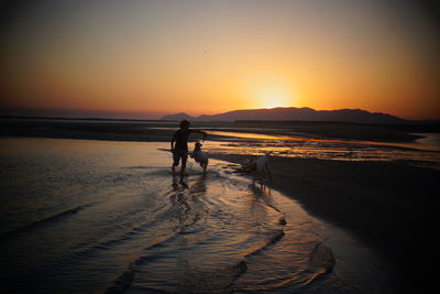 Woman with dogs running on shore at beach against sky during sunset