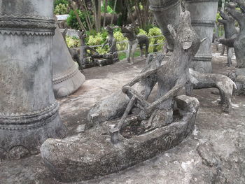 Statue of buddha