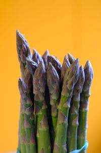 Close-up of bananas against yellow background