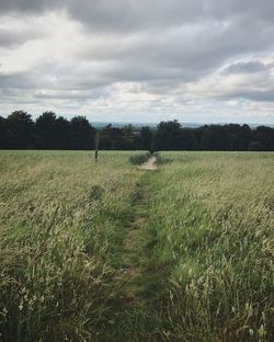 Scenic view of field against cloudy sky