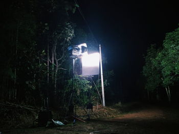 Trees in forest at night