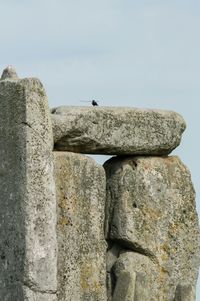 Close-up of stone wall