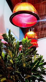 Low angle view of illuminated lanterns