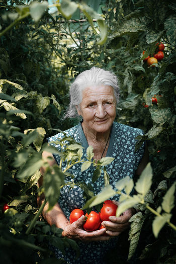 Portrait of senior woman holding tomatoes while standing amidst plants