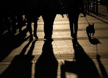 Low section of people walking on street in city