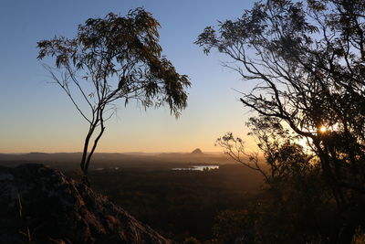 Silhouette tree against sky during sunset