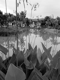 Panoramic view of lake against sky