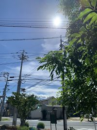 Low angle view of trees against sky