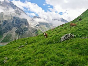 Idyllic rural scene from austria