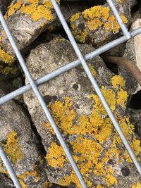 High angle view of rusty metal pipe