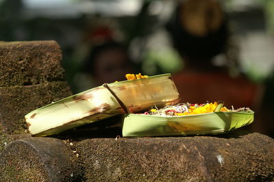 Close-up of tea on flower