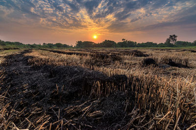 Scenic view of field against sky during sunset