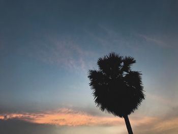 Low angle view of silhouette tree against sky at sunset