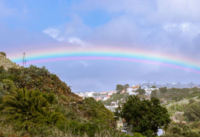 Rainbow over trees against sky