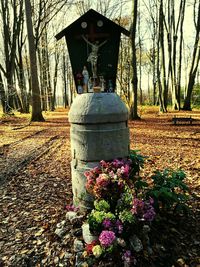 Flower plants against trees