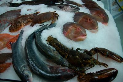 High angle view of fish for sale