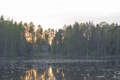 Reflection of trees in lake