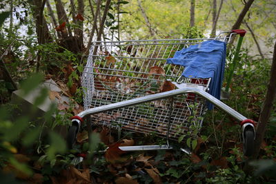 Shopping cart in forest