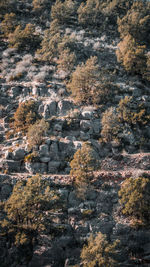 High angle view of rocks on land