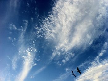 Low angle view of people against sky